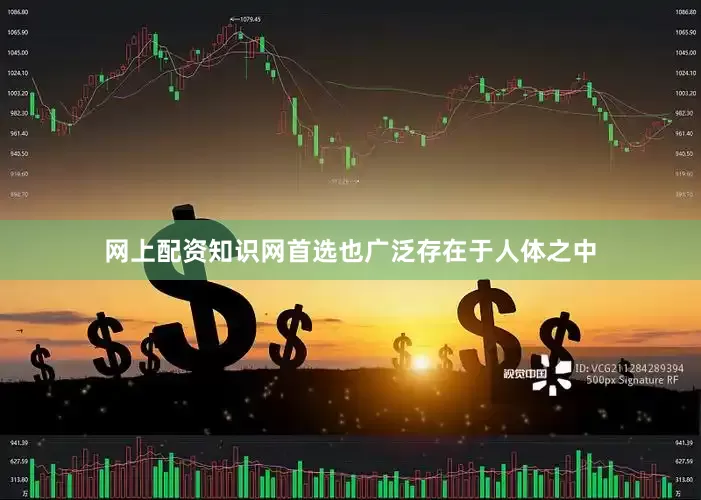 网上配资知识网首选也广泛存在于人体之中