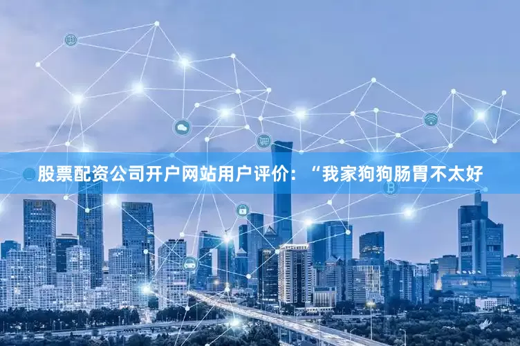 股票配资公司开户网站用户评价：“我家狗狗肠胃不太好