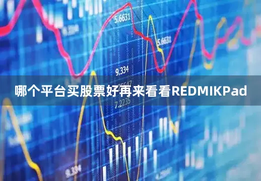 哪个平台买股票好再来看看REDMIKPad