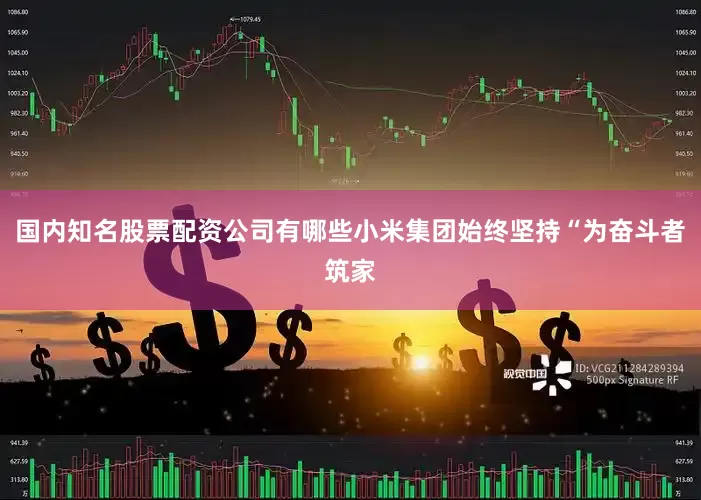 国内知名股票配资公司有哪些小米集团始终坚持“为奋斗者筑家