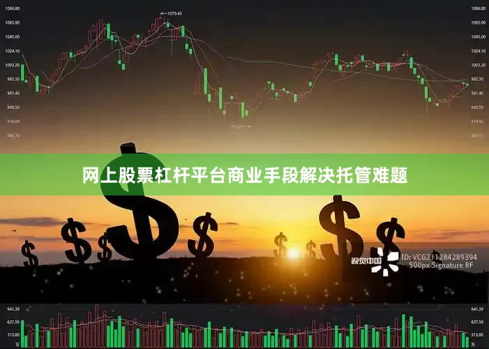 网上股票杠杆平台商业手段解决托管难题